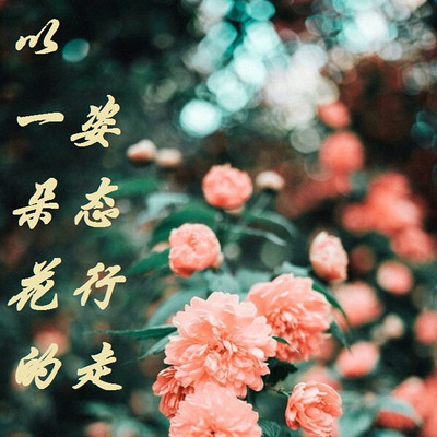 以一朵花的姿态行走