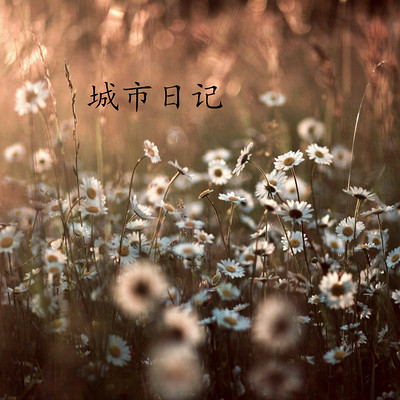 城市日记