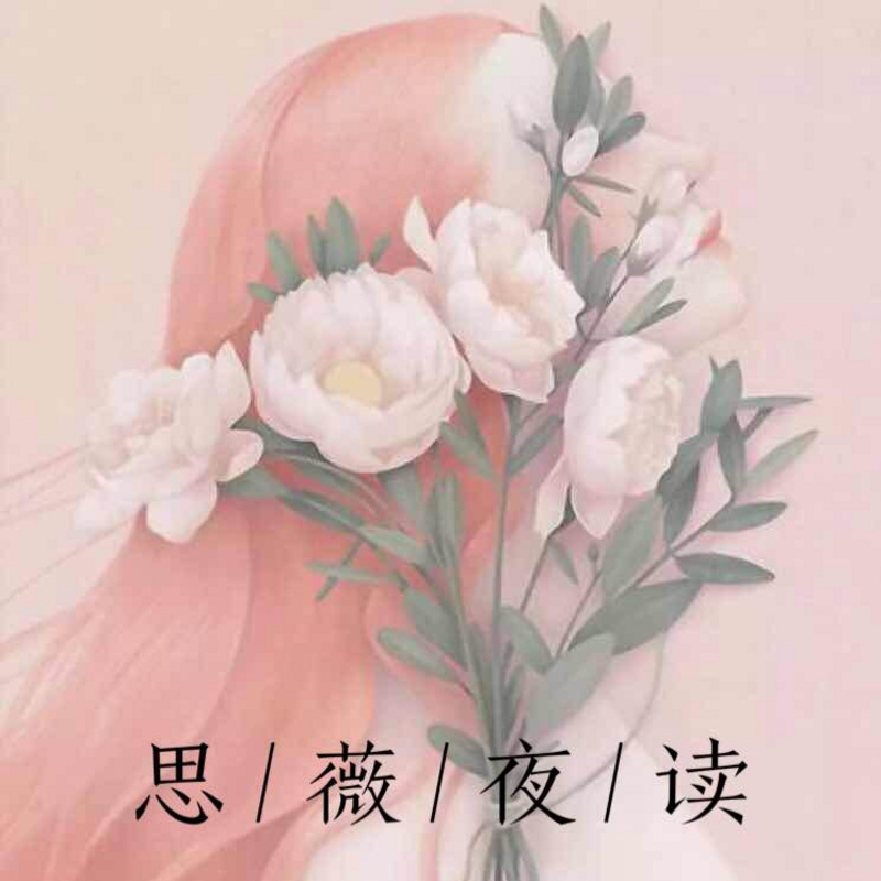 思薇夜读