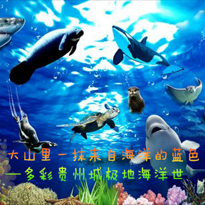 大山里一抹来自海洋的蓝色 ——多彩贵州城极地海洋世界 大山里一抹来自海洋的蓝色 ——多彩贵州城极地海洋世界