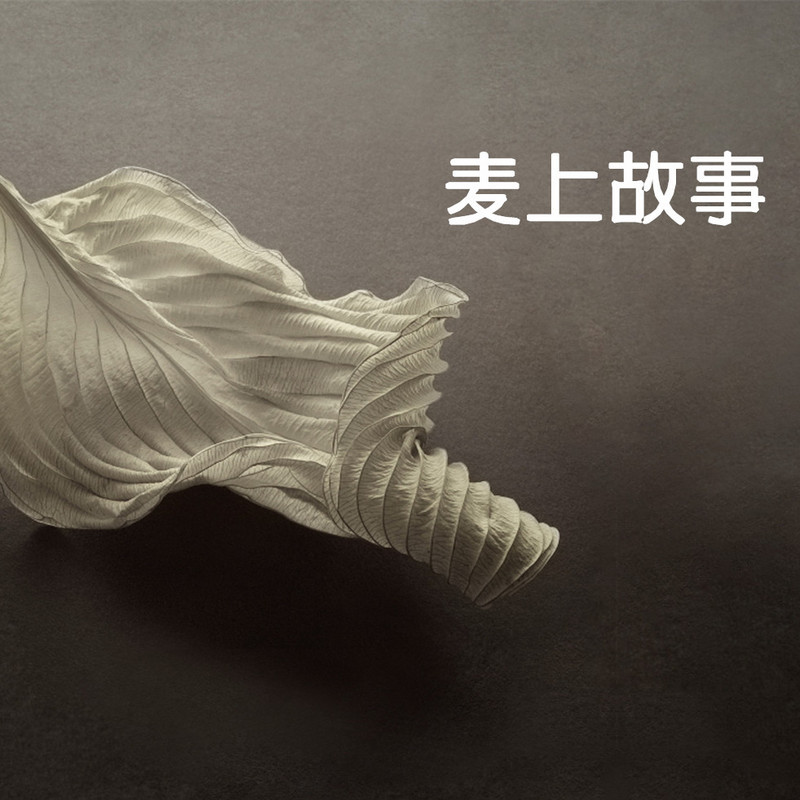 麦上故事