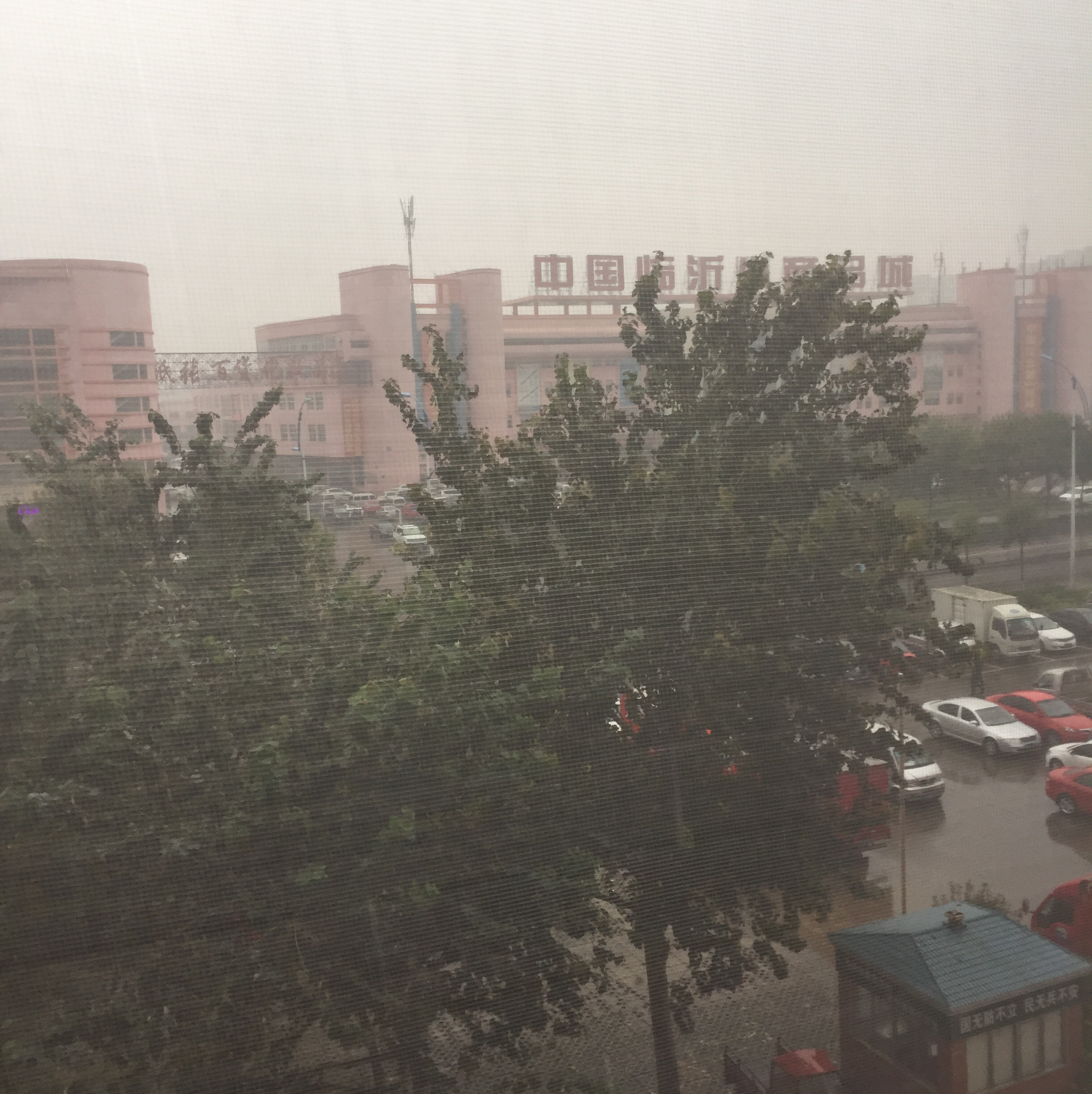你说你