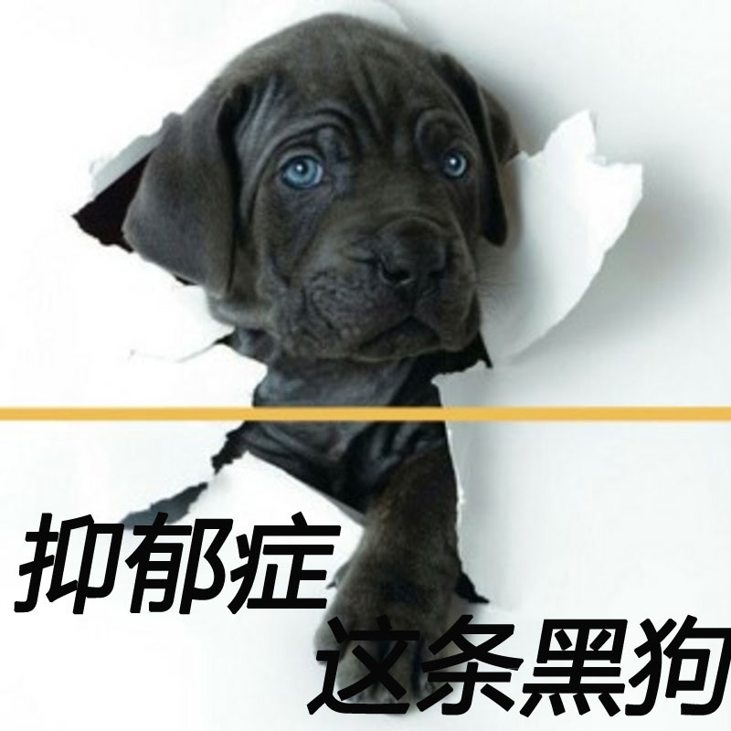 抑郁症这条黑狗