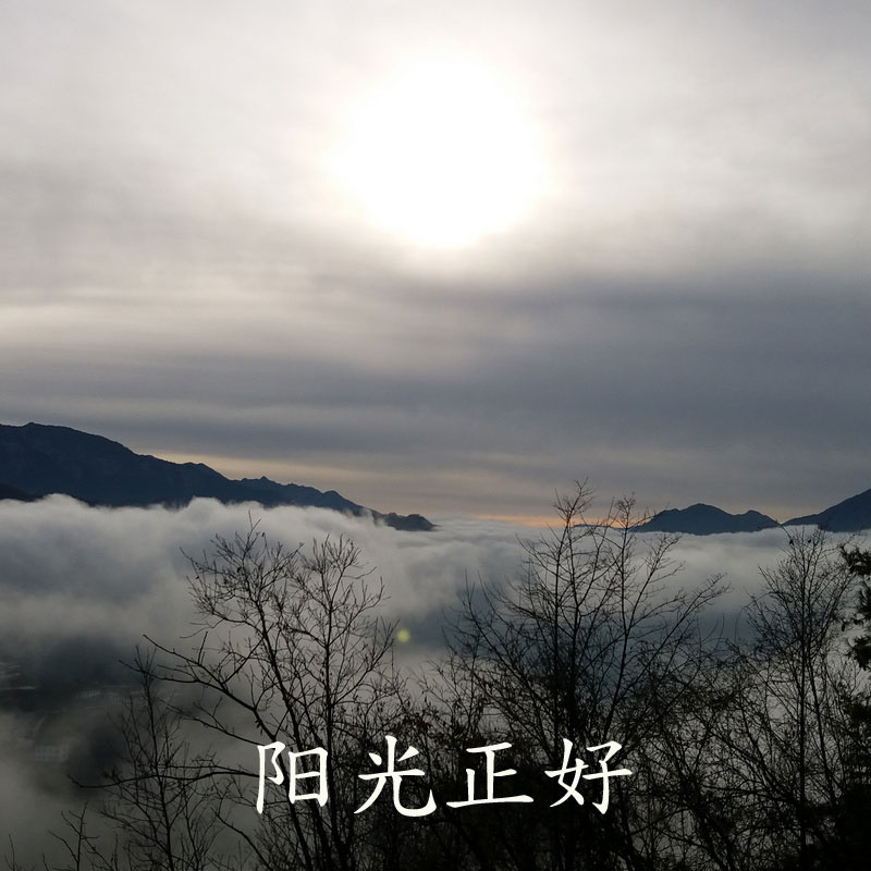 阳光正好