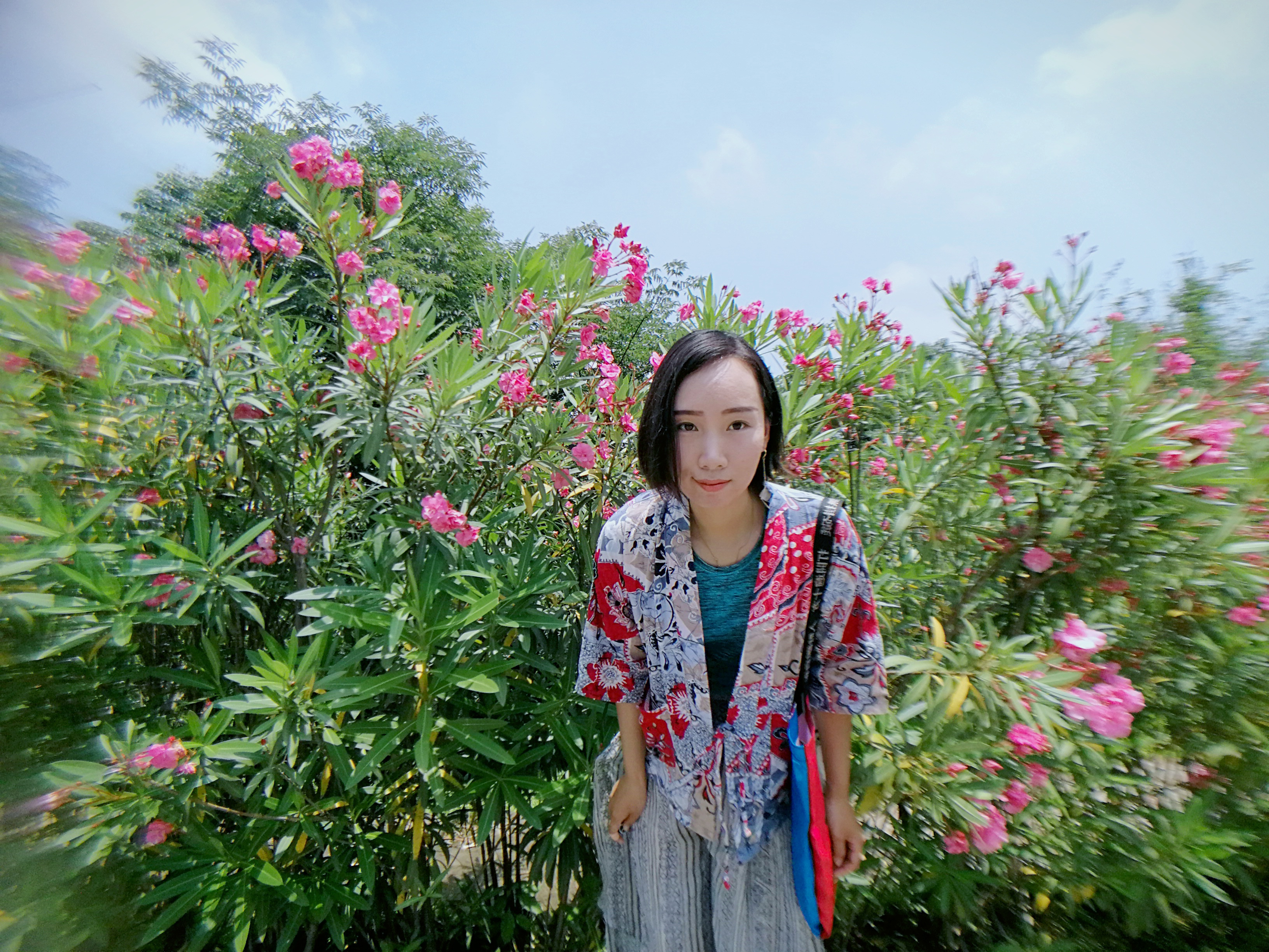 杨大可