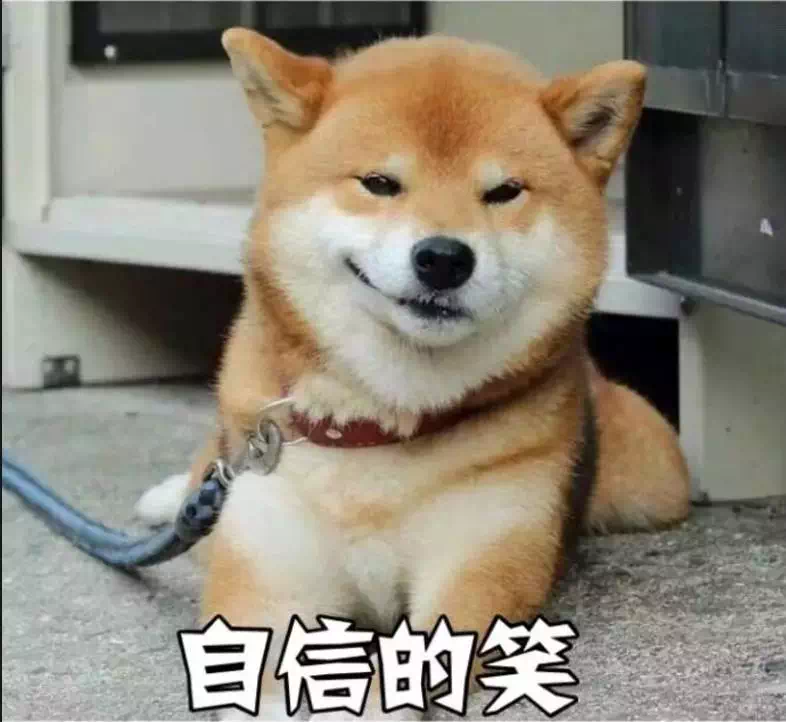 大神来讲车