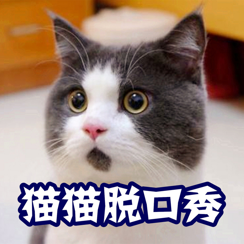 猫猫脱口秀2017