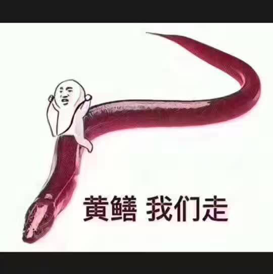 深圳小海