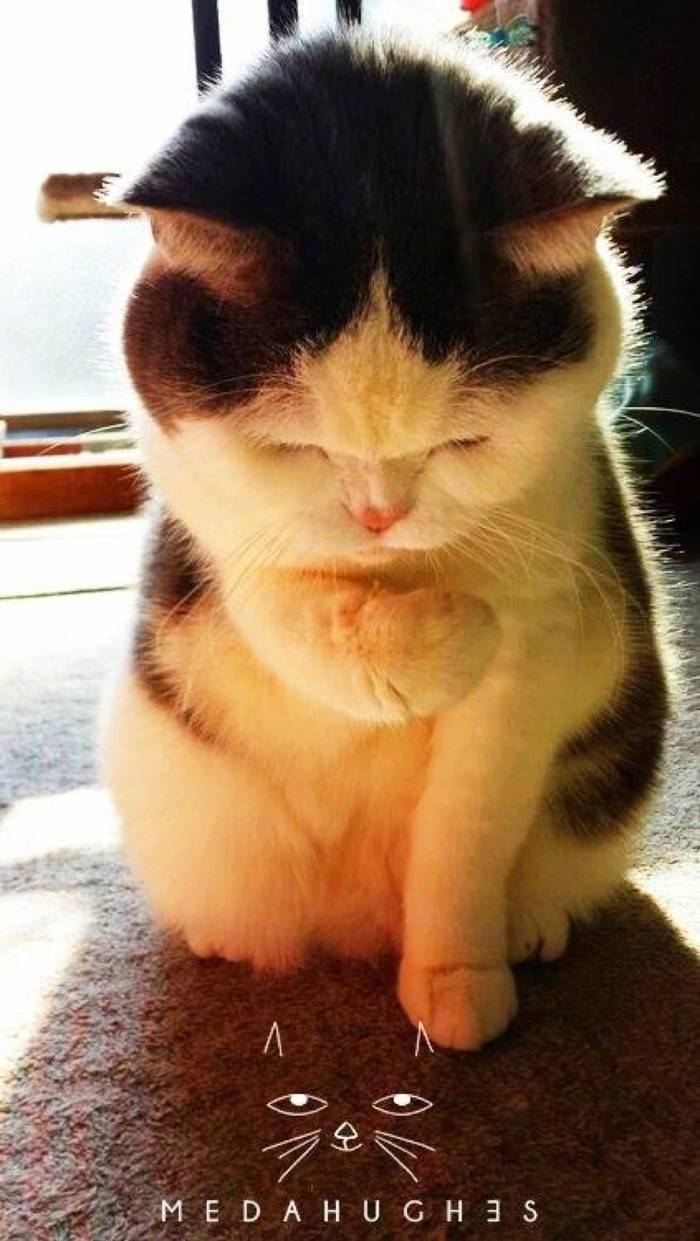 葫芦娃的小福气