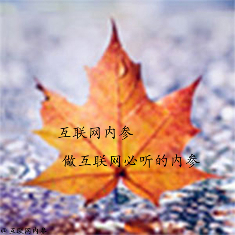 互联网内参