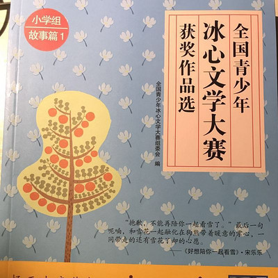 全国青少年冰心文学奖获奖作品选