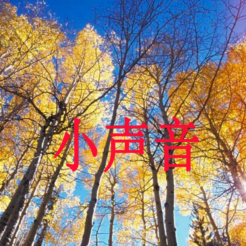 小声音