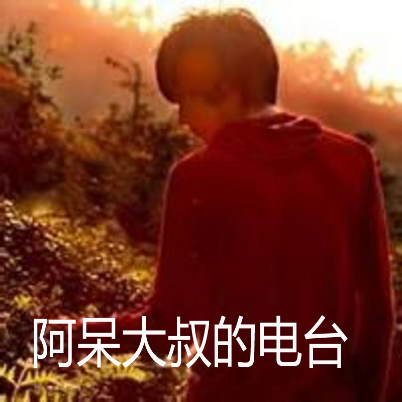 阿呆大叔的电台