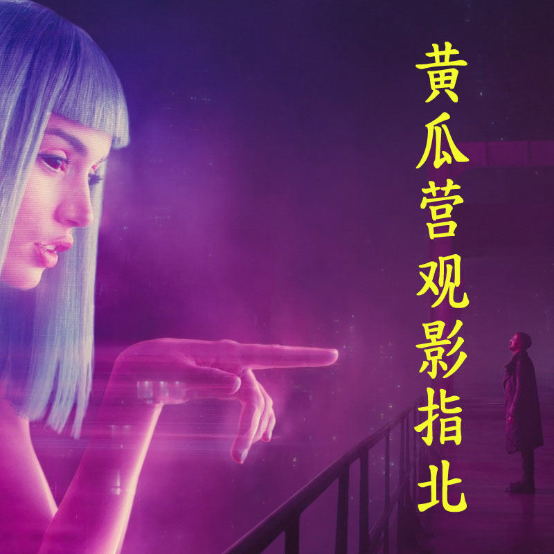 黄瓜营观影指北