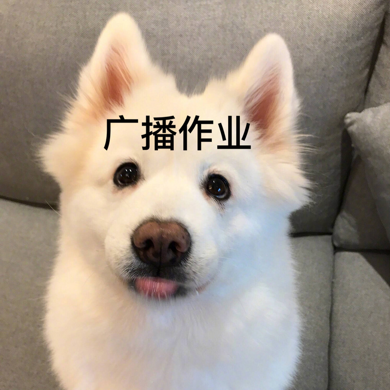 广播作业