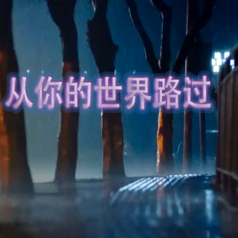 从你的世界路过