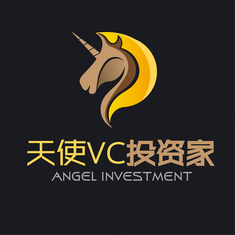 天使VC投资家