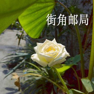 街角邮局 街角邮局