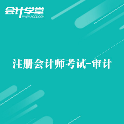 注册会计师——内部审计培训教程