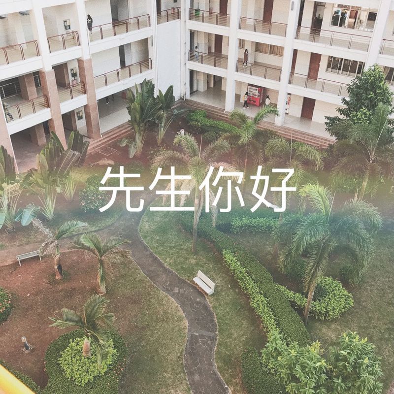 先生你好