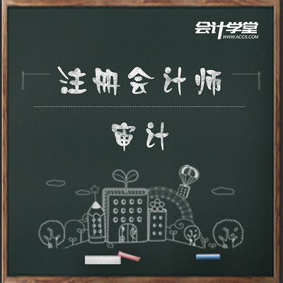 注册会计师考试-财务报表审计