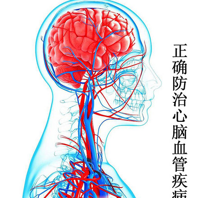 正确防治心脑血管疾病