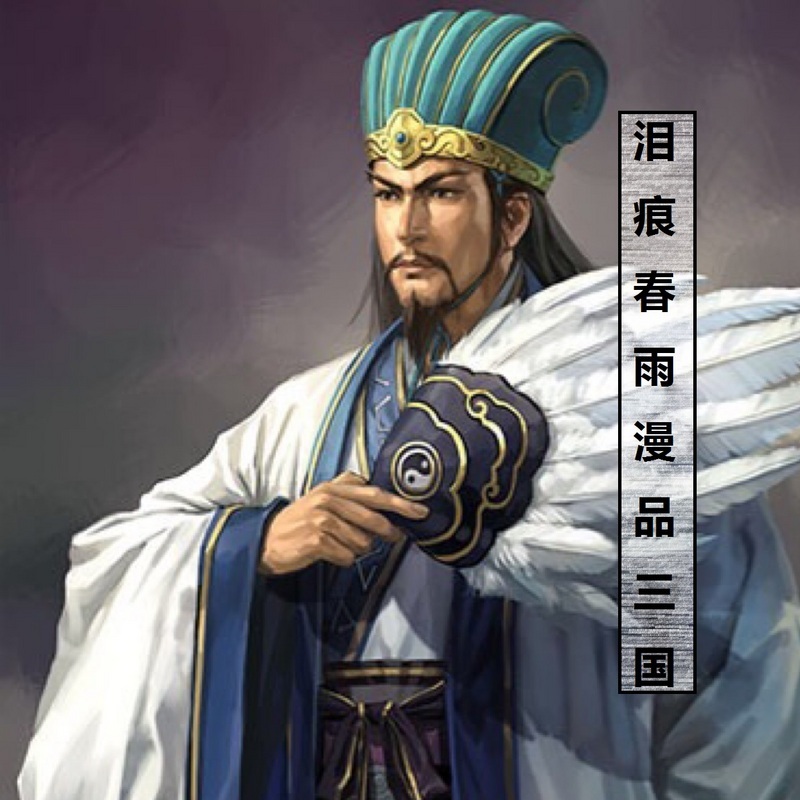 泪痕春雨漫品三国