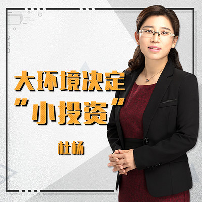 大环境决定“小投资” 大环境决定“小投资”