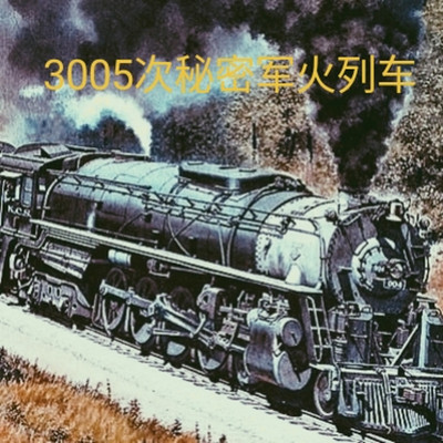 3005次秘密军火列车