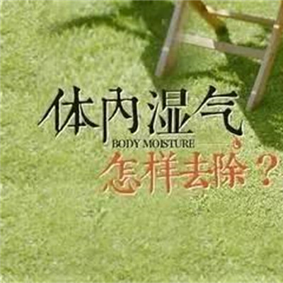 体内湿气怎样去除 体内湿气怎样去除