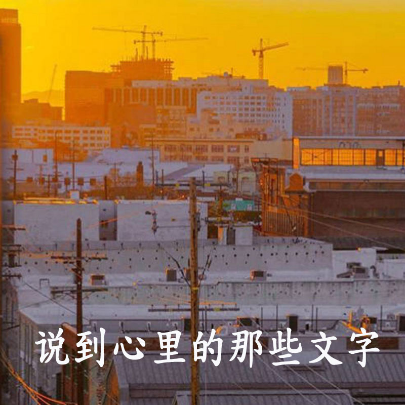 说到心里的那些文字