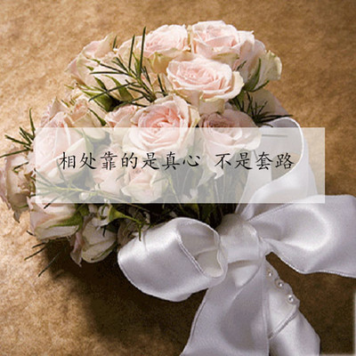 相处靠的是真心 不是套路 相处靠的是真心 不是套路