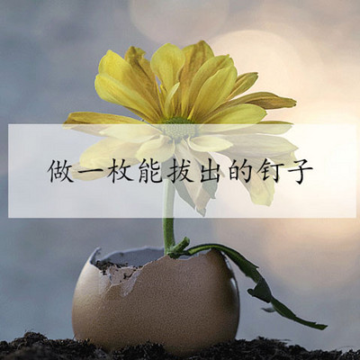 做一枚能拔出来的钉子 做一枚能拔出来的钉子