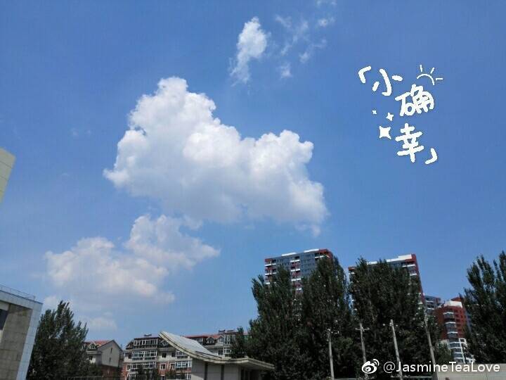 知了语冬