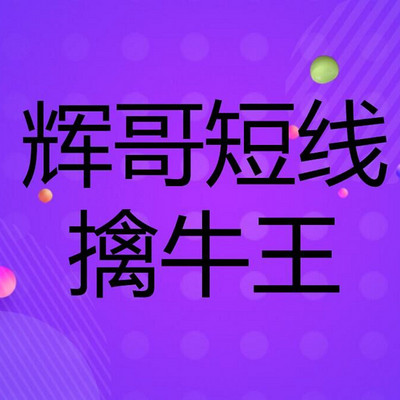 辉哥短线擒牛王股票入门基础知识