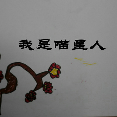 我是喵星人 我是喵星人