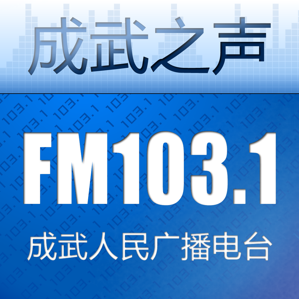 成武综合广播