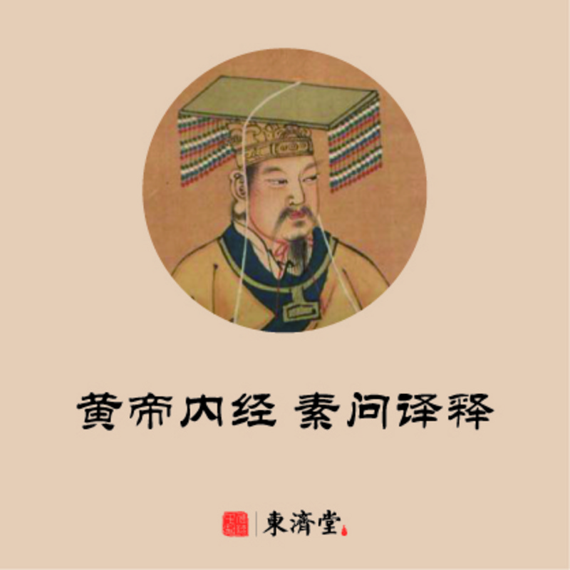 【我要学经典】黄帝内经--素问译释