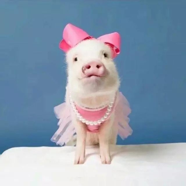 忆苦.