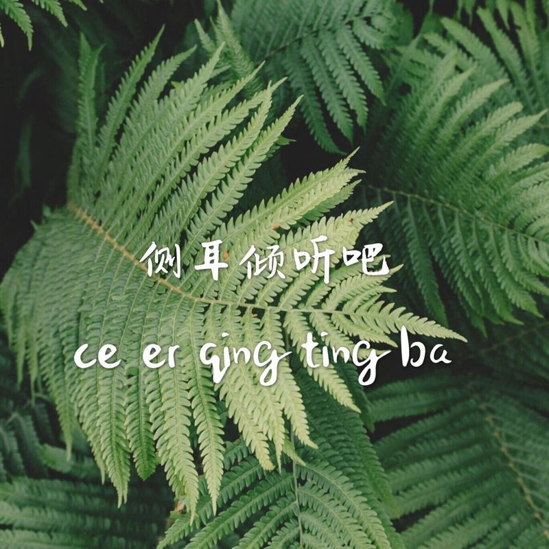 侧耳倾听吧