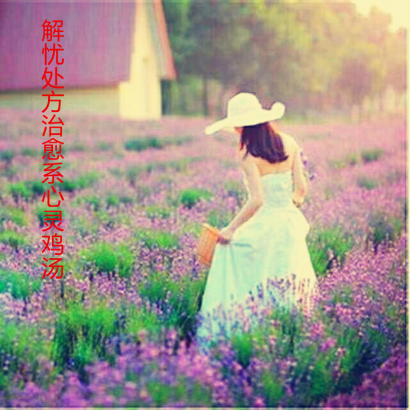 解忧处方治愈系心灵鸡汤
