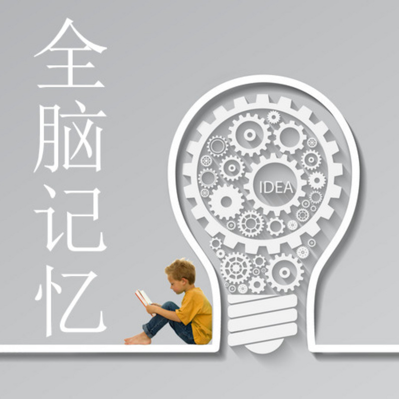 全脑记忆