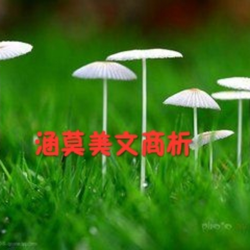 涵莫美文赏析