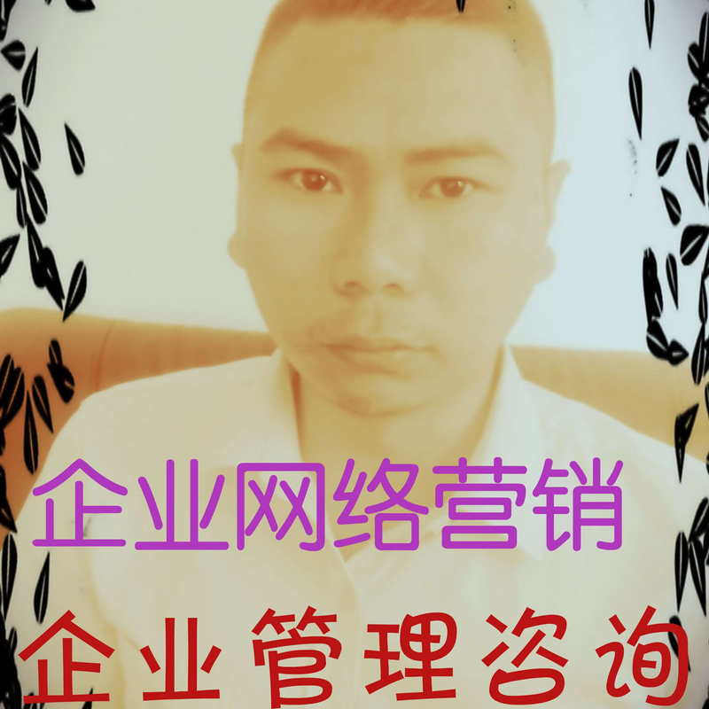 主讲企业管理网络营销