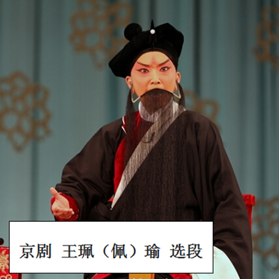 京剧 王佩瑜 选段 京剧 王佩瑜 选段