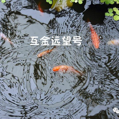 互金远望号|我要为联璧说两句公道话 互金远望号|我要为联璧说两句公道话