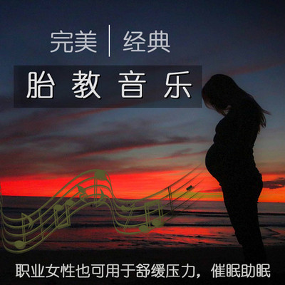 完美 经典胎教音乐 完美 经典胎教音乐