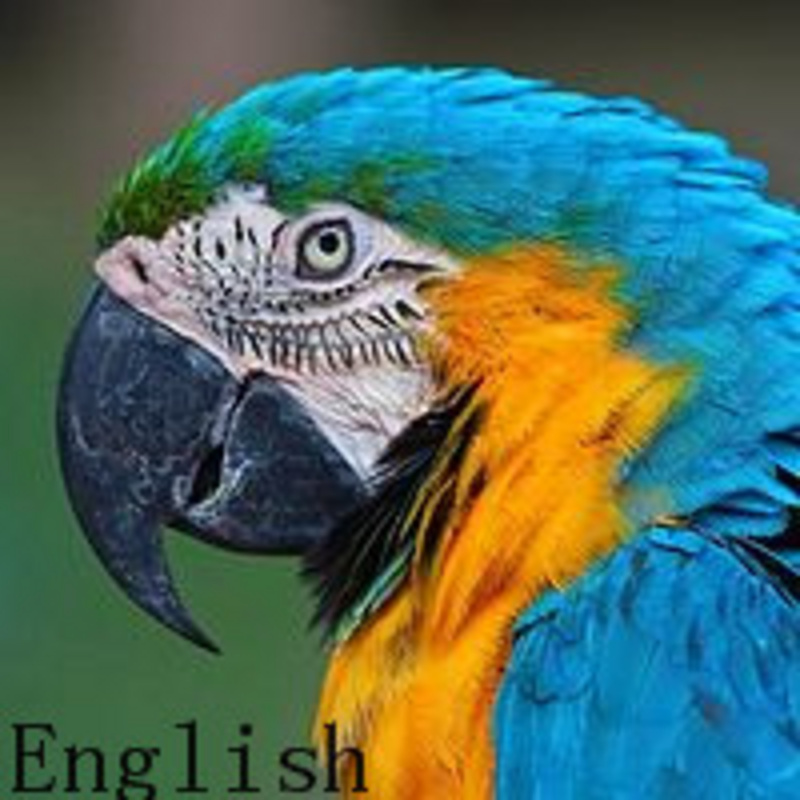 English