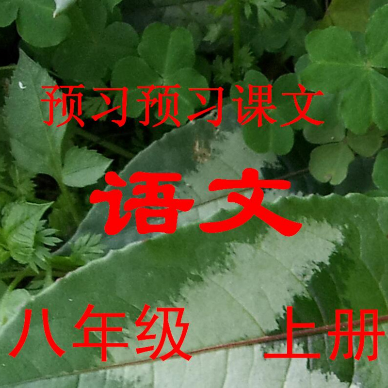 读读语文八年级上册课文
