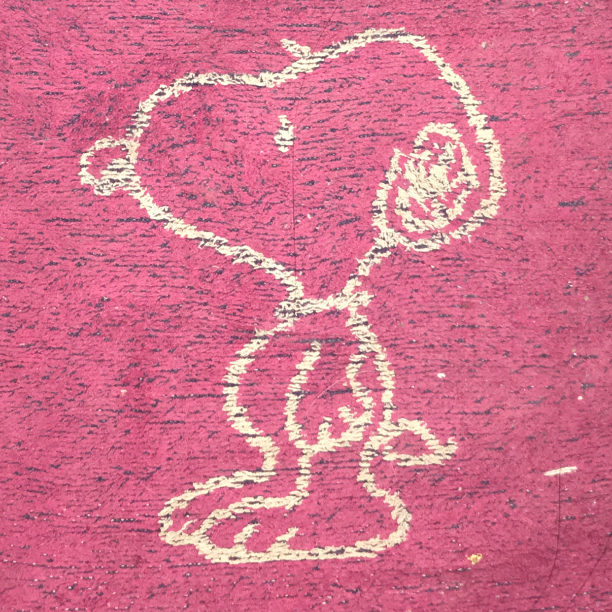 小老虎儿